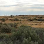 OTRA2013_1166 (July 15, 2013)